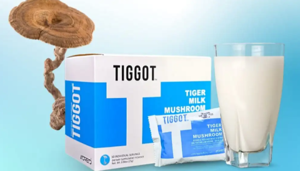 TIGGOT-CENDAWAN SUSU HARIMAU